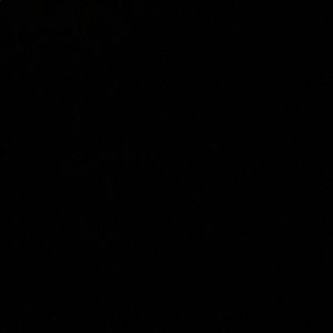 Meet your Posher, Nic